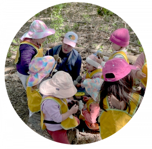Kindergarten Readiness